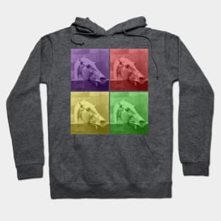 Horse of a different color Hoodie